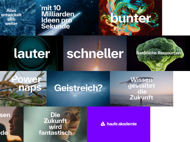 Collage aus dem DOTS-Markenfilm „Elevate“ für die Haufe Akademie: Ungewöhnliche Visuals, experimentelles Storytelling und progressive Typografie.